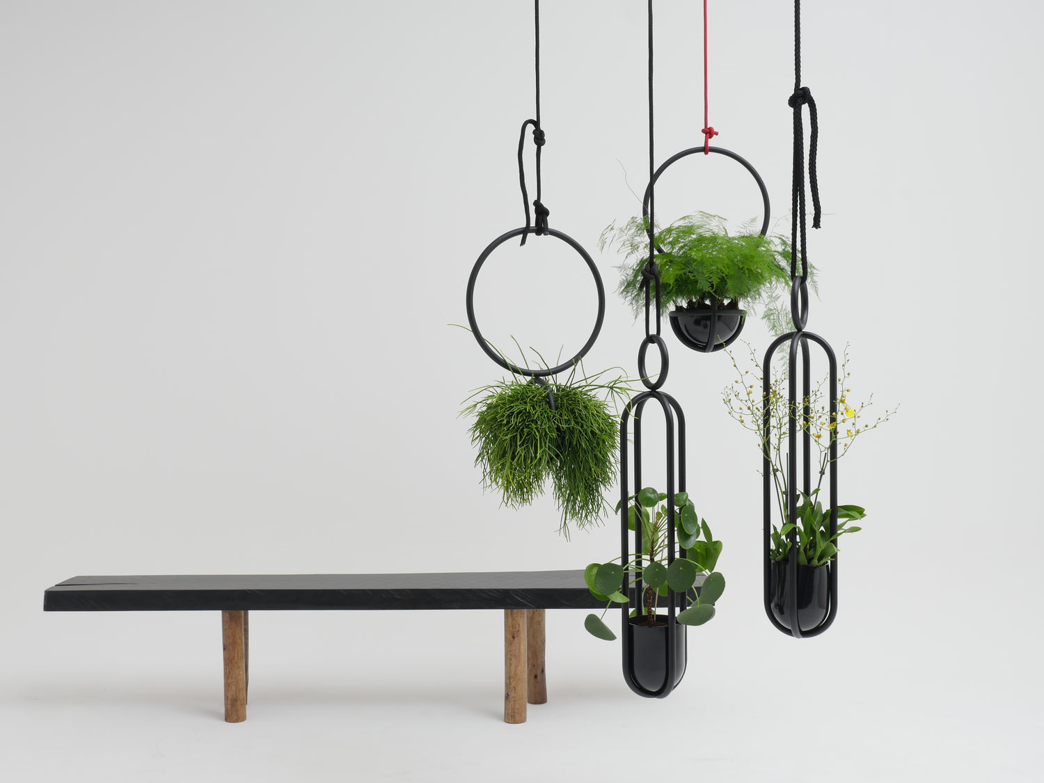 Atelier Haussmann Blumenampel Studio